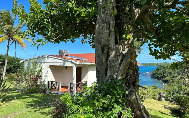 Sea Cliff Cottages