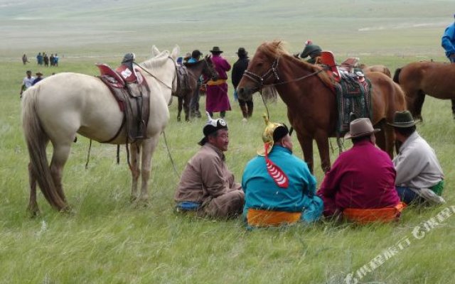 Top Tour & Guesthouse Mongolia