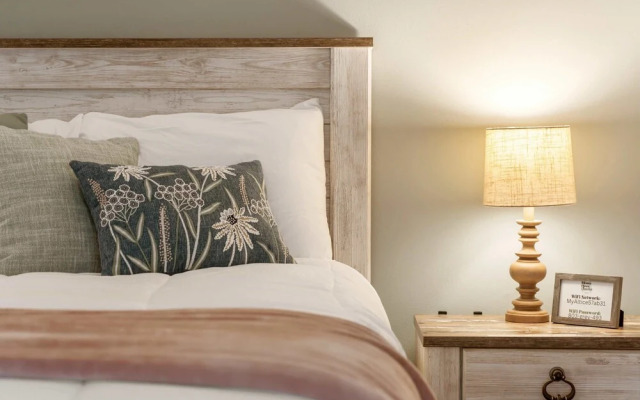 Mossy Pines of the Ozarks