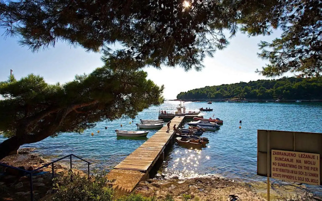 Arena Indije Camping Homes