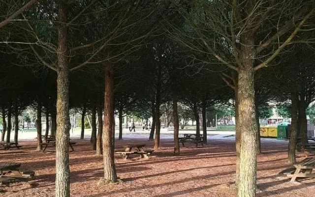Vistas a la Ría de Arousa
