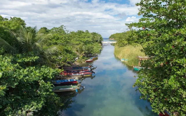 Tropical Beach Suite