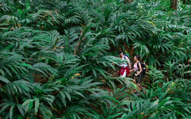 Fragrant Nature Munnar - A Classified Hotel