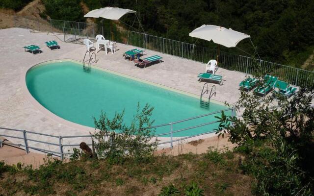 gli ulivi di montalbano 1