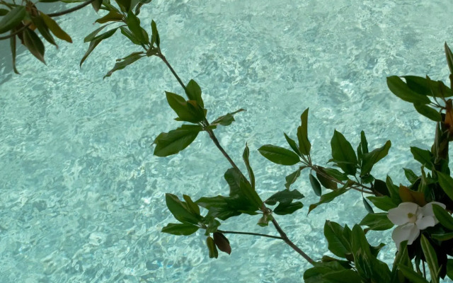Stefanakis Hotel & Apartments