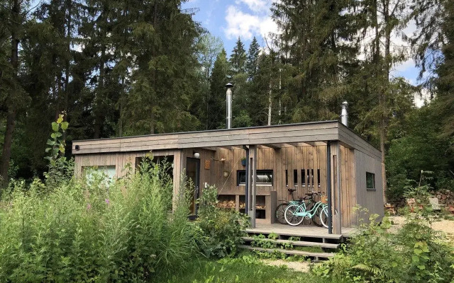 Fabulous chalet in a coniferous forest