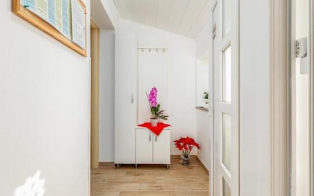 Apartments Hortensia