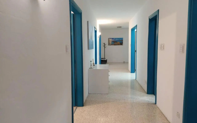 University Area Msida