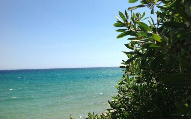 Dandrea Resort