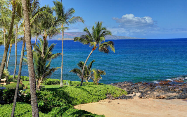 Polo Beach Club Vacation Rentals - APlus Resorts
