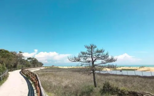 Simma - One Bedroom No.6