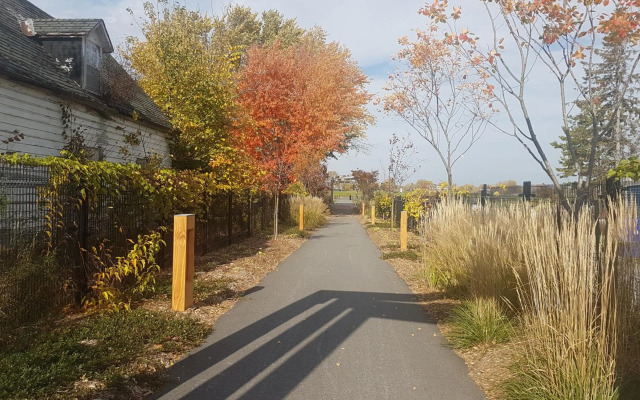 1-Bedroom Cozy Suite #26 by Amazing Property Rentals