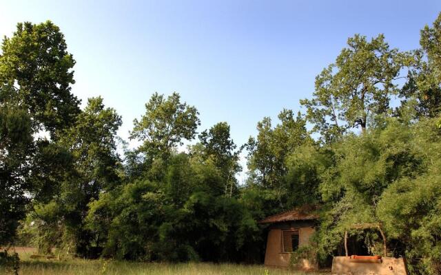 Mahua Kothi, Bandhavgarh National Park