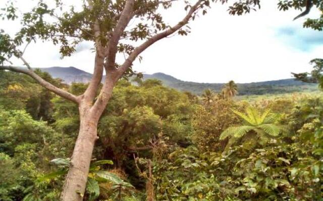 Tanna Volcano View Treehouse