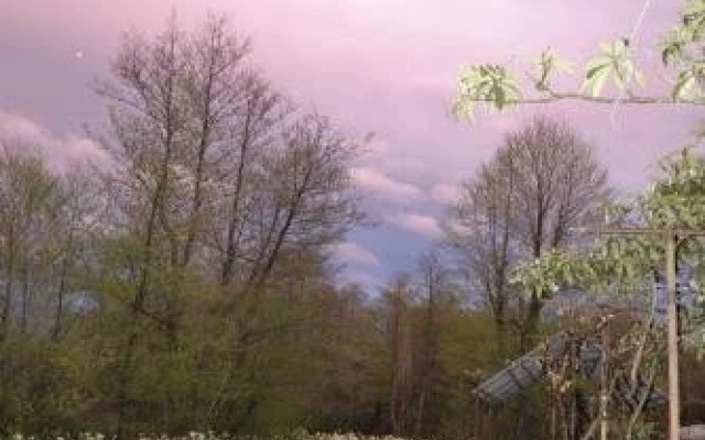 Novyi Zamok Guest House