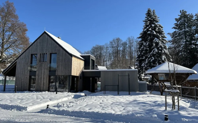 Villa With Fireplace in Cerny Dul