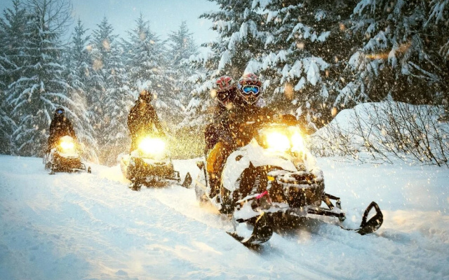 Evergreen Escape