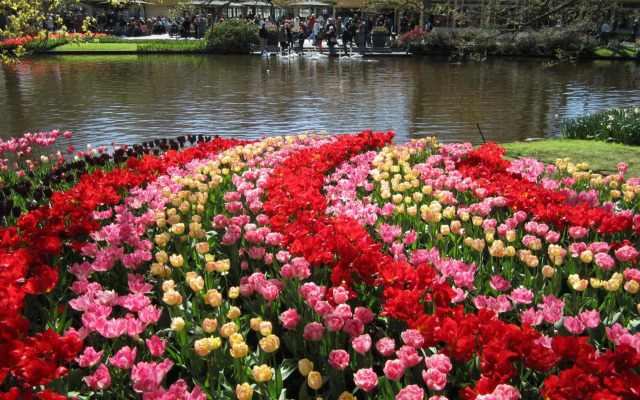 JaBaKi Child friendly home