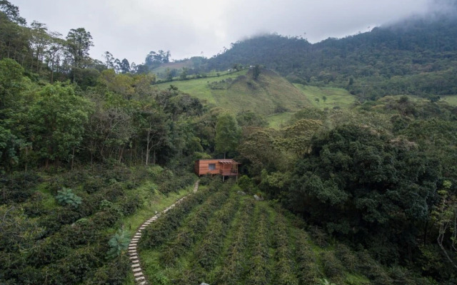 Coffee Adventures By La Palma y El Tucan