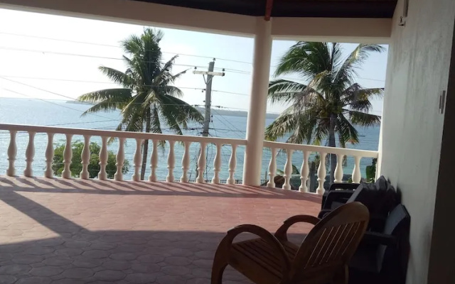 Kiwi's Hidden Resort