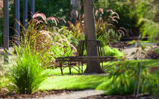 Blazing Stump Motel & Suites