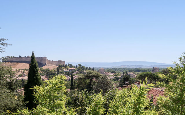 Une Cigale en Provence