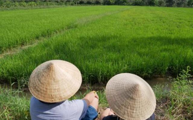 Thanh Ha Guesthouse