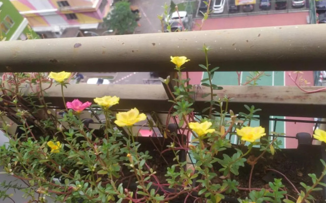 Tiny studio with pool, jogging track, gym and Mall