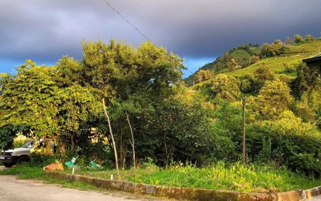 Umut Apart Rize