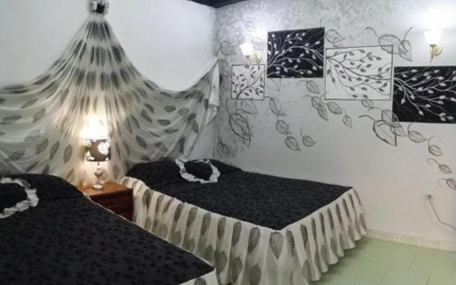 Girasol and Friends Rooms