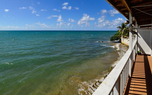 Lemontree Oceanfront Cottages