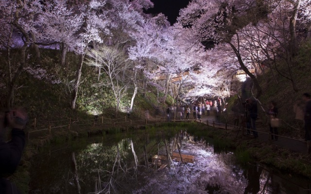 Takato Sakura Hotel
