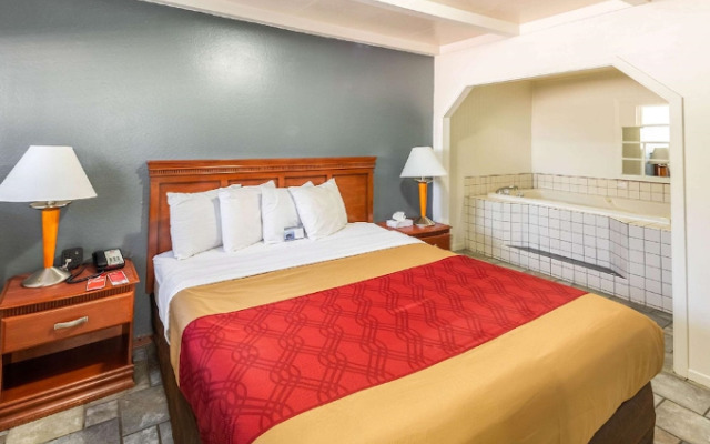 Pine Tree Chalet by RedAwning