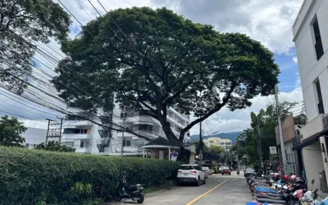 1B1B Classic & Cozy Room on Nimman15/Hi-Speed WIFI