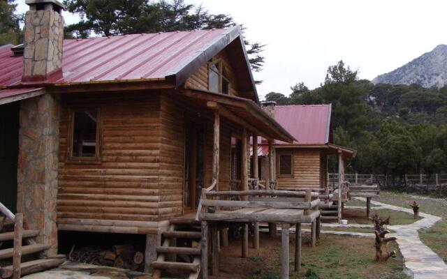 Babakamp Eco Ranch & Retreat