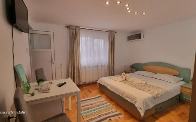 Casa cu Trandafiri Murighiol