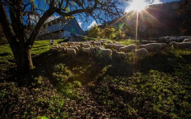 Eco Tourist Farm Ravnjak