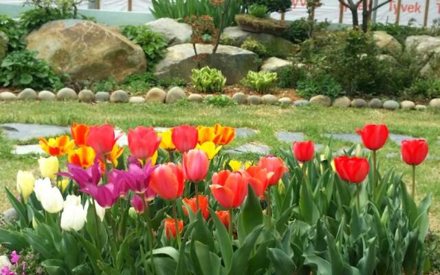 yeosu jeongweoniyebbeundogcae pensyeon