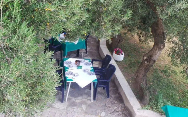 Pension Vice