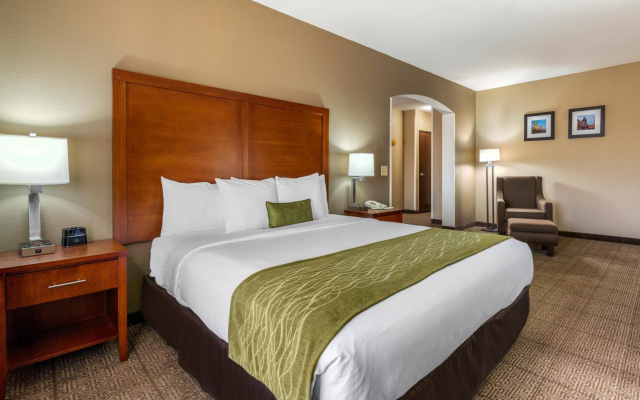 Comfort Inn & Suites Sacramento - University Area