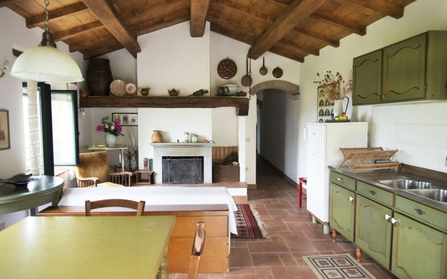 Apartment the Crocodile Feel the Nature