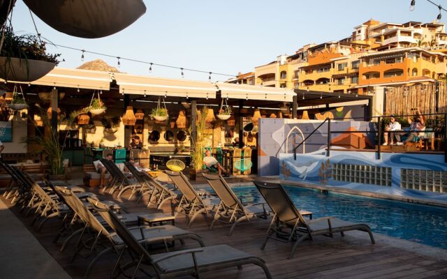 Mayan Monkey Los Cabos Social Hotel - Adults Only