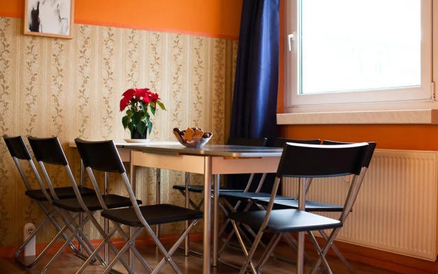 city ALEX & top view