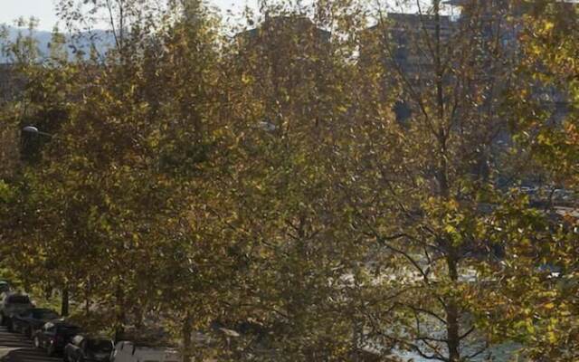 Residenze Torinesi B&B