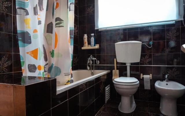 Offshore Rustic House