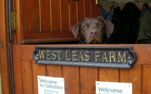 West Leas Farm