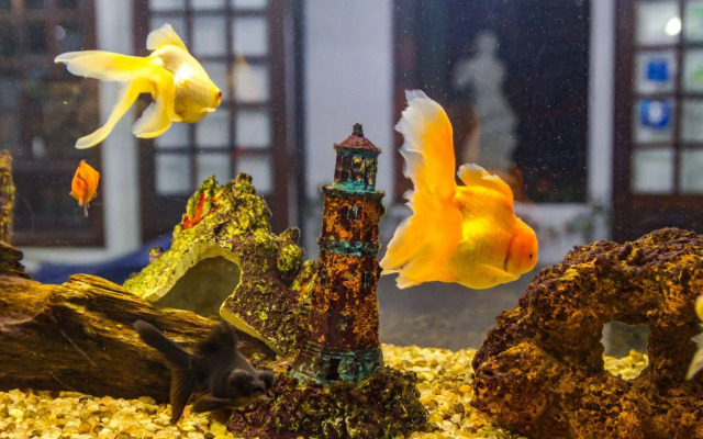 Pousada Torre del Mar