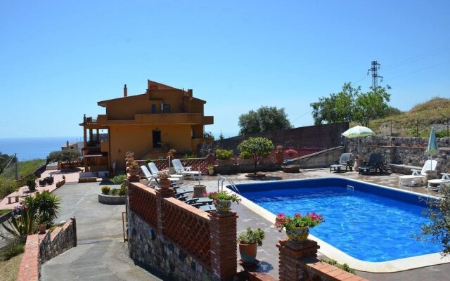 The Lemon Tree