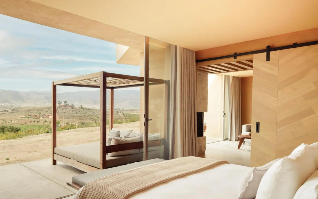 Banyan Tree Veya Valle De Guadalupe