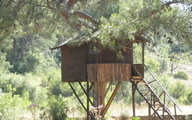 Olympos Woods - Adults Only